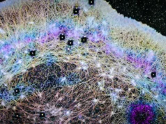 Cientistas descobrem que ‘vento’ escondido dentro das células pode explicar a propagação do câncer