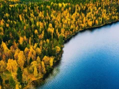O “Mundo Perdido” no fundo do Mar do Norte já foi coberto por florestas