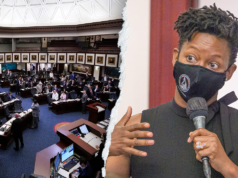 Florida Dem, vestindo macacão rosa, aproveita a votação em meio a um megafone: ‘É ilegal!’