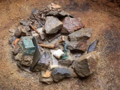 Santuário romano enterrado descoberto sob Frankfurt sugere rituais chocantes