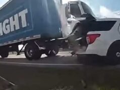 EM VÍDEO | Caminhão Bud Light roubado bate em carro da polícia durante perseguição