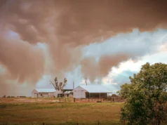 Toxina transportada pelo ar incomum detectada nos EUA pela primeira vez