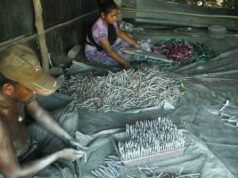 Como uma poderosa explosão química em uma unidade ilegal de fogos de artifício em Palghar matou duas pessoas e expôs uma rede de manufatura rural