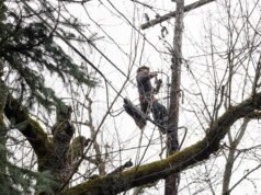 Quedas de energia afetam milhares de residentes da área de Portland