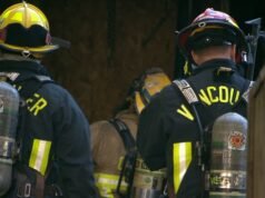 Incêndio em apartamento em Vancouver deixa mulher desalojada e dois gatos mortos