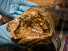 Cientistas finalmente resolvem o mistério da estranha ‘bola dourada’ a 3 quilômetros de profundidade