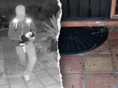 A perfiladora do FBI Nancy Guthrie diz que o caso se resume a um único sequestro