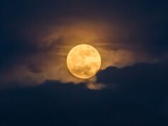 Maio de 2026 Lua Cheia – Quando, Onde e Como Ver a Lua Flor