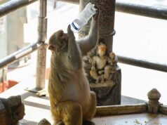 8 cidades UP entre os 30 lugares mais quentes do país, IMD emite alerta de onda de calor de 5 dias