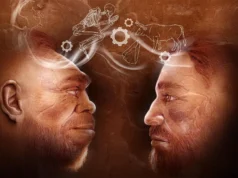 A descoberta de 110.000 anos atrás reescreve a história humana: Neandertais e Homo sapiens trabalham juntos