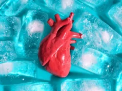 Cientistas descobrem como congelar órgãos transplantados sem rompê-los