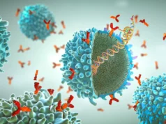 Tecnologia inovadora de nanodiscos revela fraquezas ocultas dos vírus HIV e Ebola