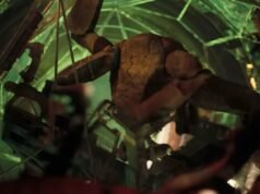 O designer de som do ‘Projeto Hail Mary’ usa sons de animais surpreendentes para criar os sons musicais alienígenas de Loki (entrevista)