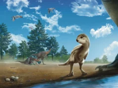 Cientistas descobrem um bebê dinossauro enterrado em rochas que é surpreendentemente fofo