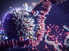 Este truque simples de 3 aminoácidos aumenta o efeito da terapêutica de mRNA em 20 vezes