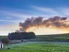 Isso está pegando fogo!