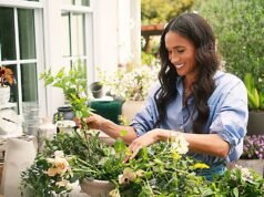 O comediante Tim Dillon zomba do estilo de vida ‘fracassado’ de Meghan Markle.