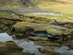 O enorme derretimento do Ártico está liberando carbono que estava congelado há milhares de anos
