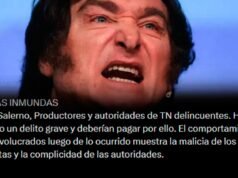Miley mais uma vez atacou a imprensa e chamou os jornalistas do TN de “criminosos”.