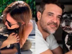 Morreu Moro, o cachorro que uniu a família de Paula Chaves e Pedro Alfonso