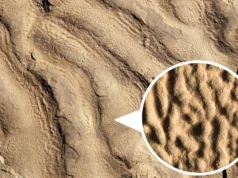 Estranhas rochas ‘parecidas com pele’ revelam vida antiga em oceanos escuros