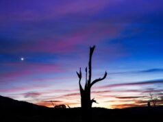 Dois planetas brilhantes iluminam as noites de abril – aqui é onde e quando assistir