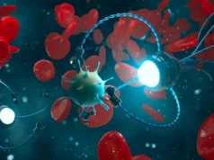 Robôs de DNA podem entregar drogas e caçar vírus dentro do seu corpo