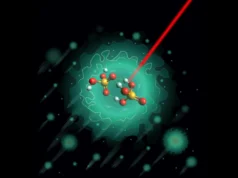 Cientistas acabam de descobrir o segredo por trás da “rodovia de prótons” da natureza