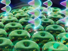 Nova tecnologia de ‘tornado óptico’ pode transformar as comunicações quânticas