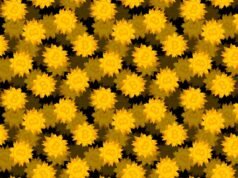 A plataforma De-Fi Drift suspendeu depósitos e retiradas depois que milhões de dólares em criptomoedas foram roubados em um hack.