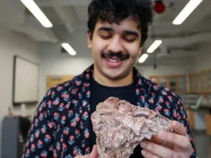 Um fóssil destruído revela um dinossauro que não deveria ter existido