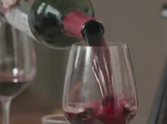 Quarta-feira do Vinho: Grunerfest destaca uvas distintas