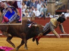 Famoso matador espanhol sofreu lesão humilhante em erro de tourada