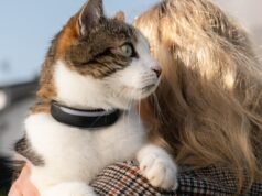 O novo rastreador de cães e gatos da Tractive fornece mais informações sobre a saúde de seus animais de estimação