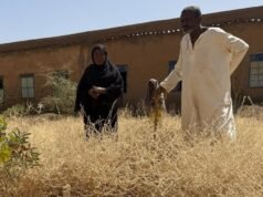 A guerra transformou esta capital africana numa cidade de túmulos