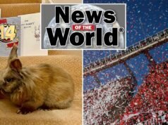 Notícias mundiais: 25 de abril de 2026