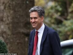 O plano de Miliband de colocar painéis solares plug-in em lojas como o Lidl neste verão ainda precisa de “muito trabalho”, já que a segurança continua sendo um obstáculo