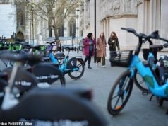 Os investidores da empresa de bicicletas elétricas Forest esperam grandes ganhos com o lançamento de sua nova campanha de crowdfunding