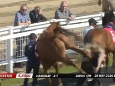 Momento horrível: cavalo de corrida britânico chuta violentamente a noiva – antes de ela ser levada ao hospital