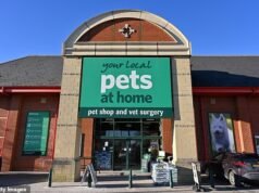 O chefe da Pets at Home espera recuperação, já que os preços baixos atraem compradores, apesar da queda nos lucros