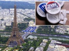 França proíbe Zyns e outros sachês de nicotina
