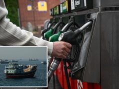 Os preços do gás caem enquanto o petróleo deve cair 20% – maior queda em um mês desde 2020