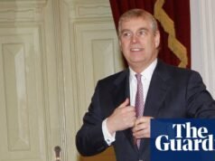 Ministro diz que não há evidências de verificação oficial quando Andrew se torna enviado comercial do Reino Unido | Andrew Mountbatten-Windsor