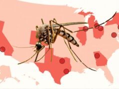 Mapa revela cidades que enfrentam piores enxames de mosquitos neste verão