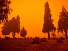 Mount Angel Fire District receberá subsídio vitalício do estado de Oregon antes da temporada de incêndios florestais