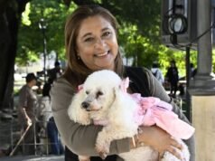 Patas, roupas e muito amor: um grande desfile de animais de estimação e conscientização
