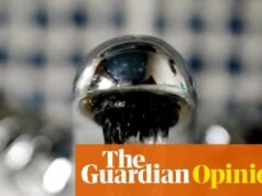 A menos que você esteja no Tâmisa, a água parece ótima para investidores | Nils Pratley