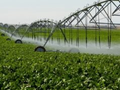 Arábia Saudita e Holanda cooperam para melhorar a eficiência agrícola e tratar resíduos de granjas avícolas