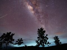 Chuva de meteoros Eta Aquariid atingirá seu pico na próxima semana – aqui está o que você precisa saber