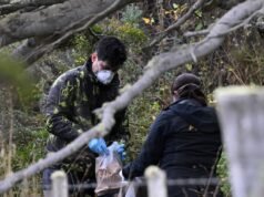 Rastreando Hantavírus na Argentina: primeiros roedores capturados em Ushuaïa